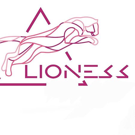 Lioness Estate - Dunedin Zewnętrze zdjęcie